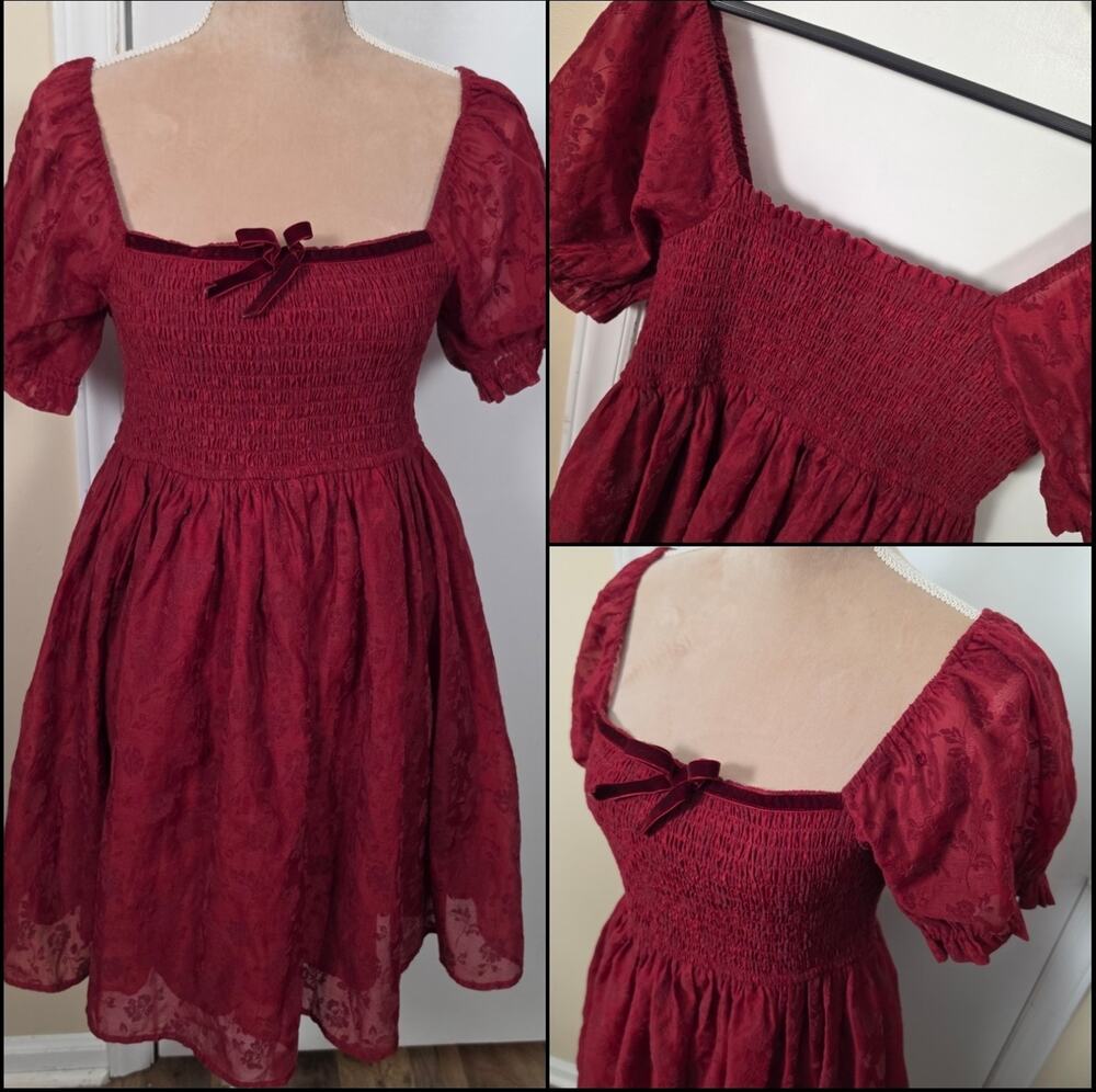 Babydoll Smocked Red Floral Overlay Velvet Burnout Mini Dress Sz L Whimsigoth
